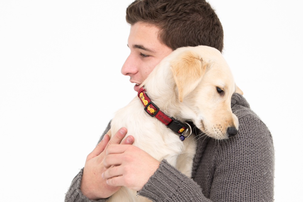 El Perro Elige A Su Dueño