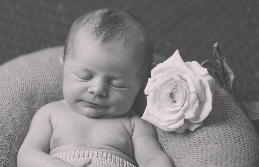 Primer plano de un recien nacido con una rosa blanca junto a su cara. Fotografia en Blanco y negro. El estudio de Blanca. Fotografo newborn a Domicilio en Madrid.