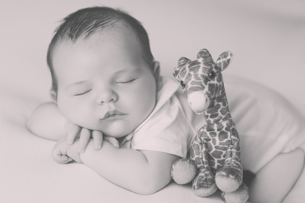 foto en blanco y negro de un newborn dormido boca abajo con la cabeza apoyada sobre sus manitas con un peluche de una jirafa